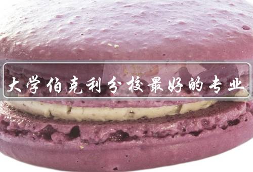 加州大学伯克利分校最好的专业