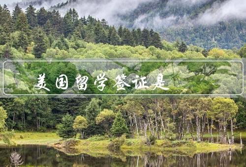 美国留学签证是，申请流程／材料准备／注意事项