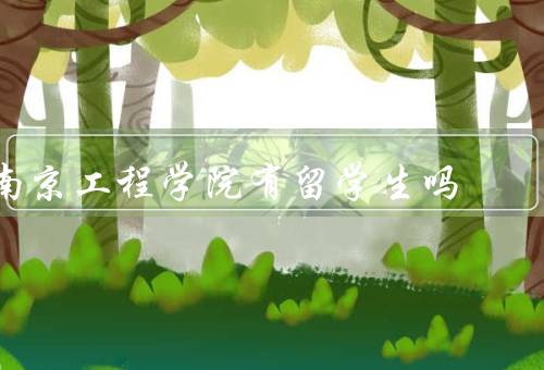 南京工程学院有留学生吗，数量／交流活动／支持与服务