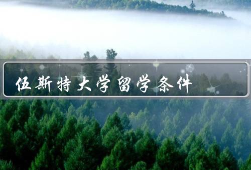 伍斯特大学留学条件，申请条件／学费和奖学金／签证和保险