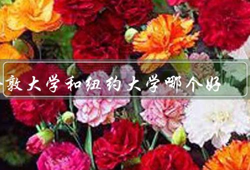 伦敦大学和纽约大学哪个好