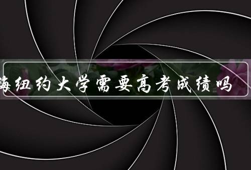 上海纽约大学需要高考成绩吗，特点／政策／标准