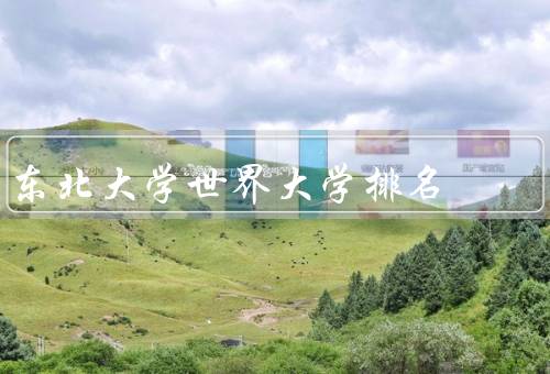 东北大学世界大学排名，学术实力、国际化程度、创新创业
