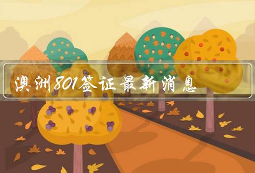 澳洲801签证最新消息，条件／流程／其他注意事项