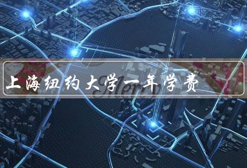上海纽约大学一年学费，构成、优势、支付方式