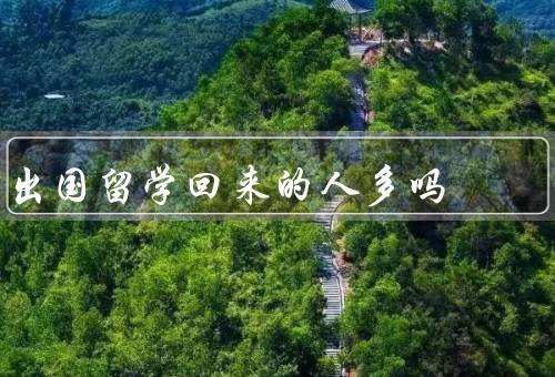 出国留学回来的人多吗，留学生的回国情况