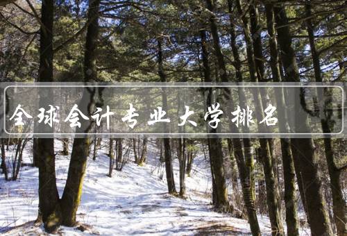 全球会计专业大学排名