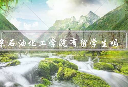 北京石油化工学院有留学生吗，数量、专业分布、支持与管理