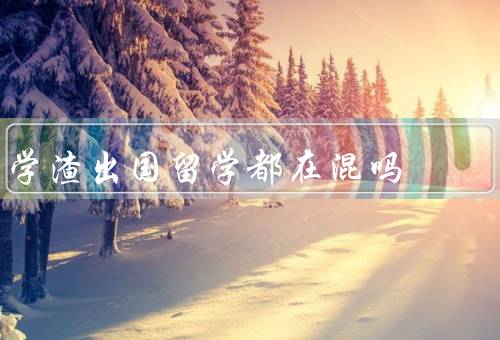 学渣出国留学都在混吗，学习成绩、适应环境、人生发展