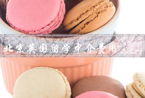 北京英国留学中介费用（构成／标准／合理性）