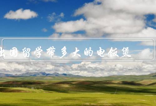 出国留学带多大的电饭煲，实用性／便利性／适应性