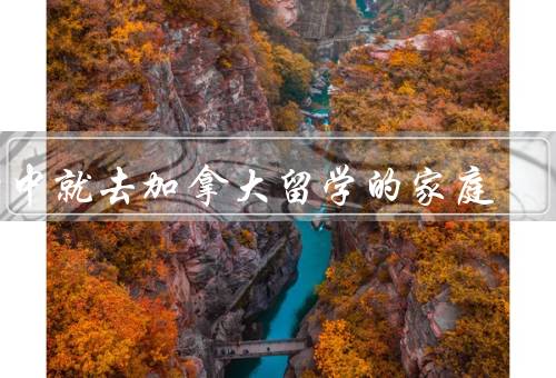 初中就去加拿大留学的家庭，适应新的环境、教育选择与规划