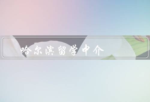 哈尔滨俄罗斯留学中介，概述／优势／服务内容