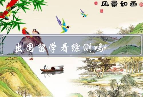 出国留学看综测吗（重要性、在留学申请中的作用、如何提高）