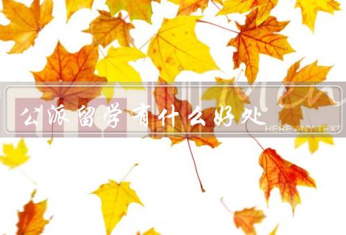 公派留学有什么好处，拓宽国际视野、增加跨文化交流机会
