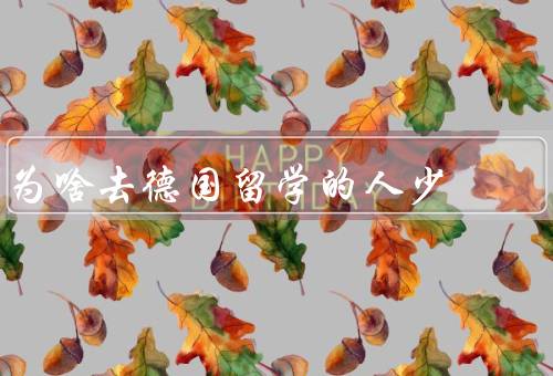 为啥去德国留学的人少（学费高昂／语言难关／文化差异）