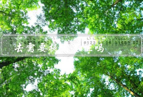 去香港需要提前签证吗（入境香港的签证政策、办理签证的方式）