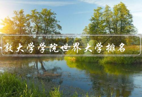 伦敦大学学院世界大学排名，学术实力、国际化程度、优质教育资源
