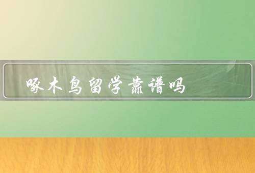 啄木鸟留学靠谱吗（服务范围／师资力量／口碑评价）