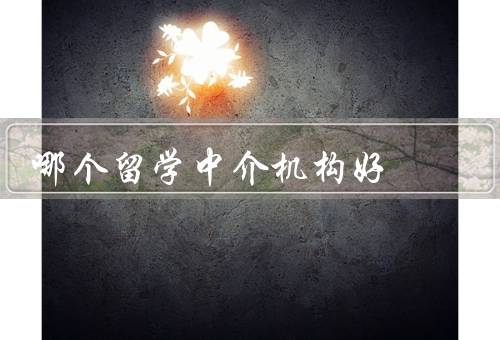 哪个留学中介机构好，专业服务／优质资源／良好口碑
