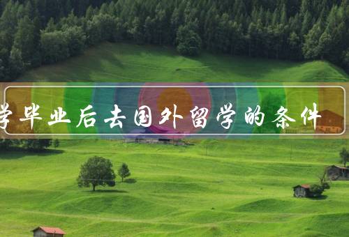 大学毕业后去国外留学的条件（熟练的外语能力、良好的学术背景）