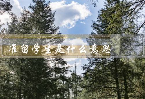 准留学生是什么意思，申请过程、意义、面临的挑战