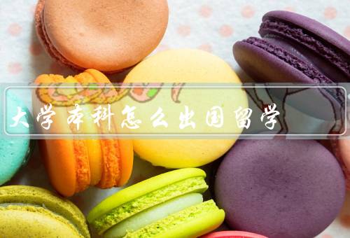 大学本科怎么出国留学，选择留学国家和学校、准备留学材料