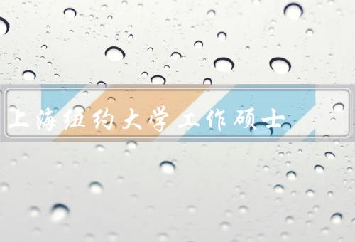 上海纽约大学工作硕士
