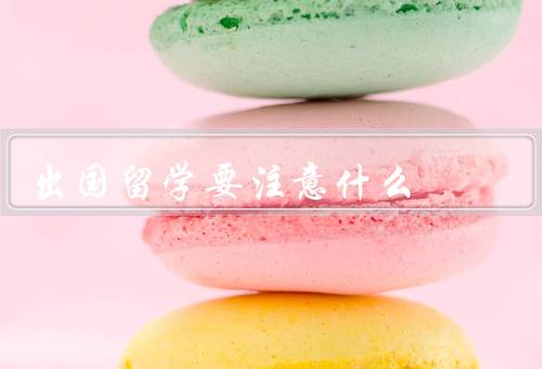 出国留学要注意什么，准备阶段／学习生活／文化适应