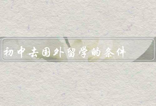 初中去国外留学的条件，学习成绩优秀／良好的语言能力