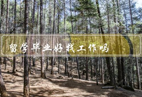 俄罗斯留学毕业好找工作吗（教育质量保障、国际化背景的优势）