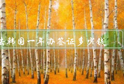 去韩国一年办签证多少钱（签证申请费／居留许可费／医疗保险费用）