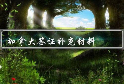 加拿大签证补充材料，居民身份证明、资金证明、学习工作证明