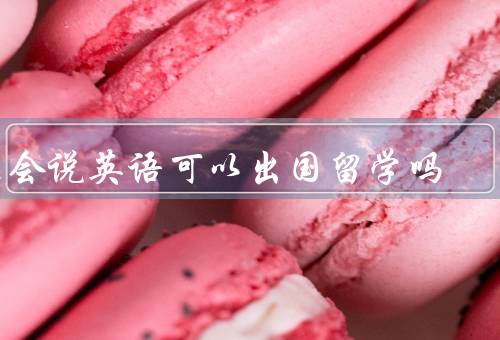 不会说英语可以出国留学吗，英语课程／母语支持／文化体验