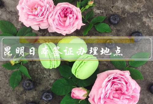昆明日本签证办理地点（日本大使馆签证办理地点／日本签证申请中心）