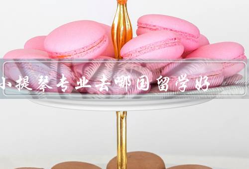 小提琴专业去哪国留学好（德国／美国／奥地利）