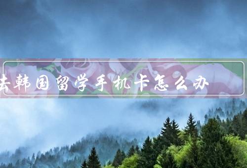 去韩国留学手机卡怎么办（手机卡预办理／到韩国后办理／注意事项）