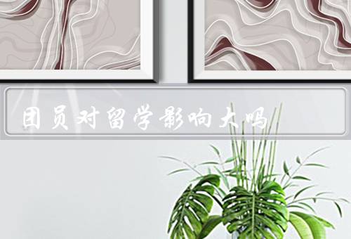 团员对留学影响大吗（增长见识、提升专业能力、增强国际竞争力）