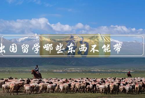出国留学哪些东西不能带