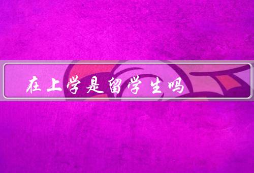 在香港上学是留学生吗，的聚集地／享受同等待遇／融入多元文化