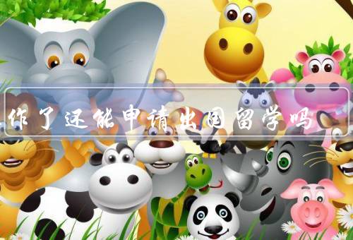 工作了还能申请出国留学吗（经验对出国留学的影响）