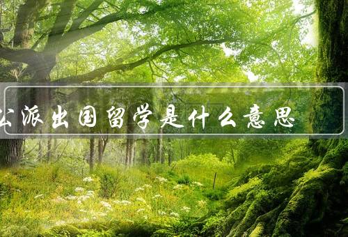 公派出国留学是什么意思（意义、申请和选拔、资助和管理）