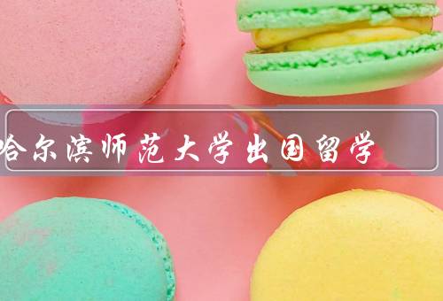 哈尔滨师范大学出国留学，项目、申请流程、经验