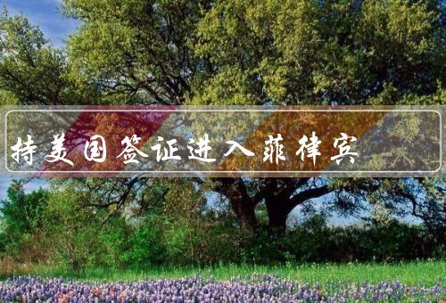 持美国签证进入菲律宾（签证类型要求、入境条件、禁止入境情况）