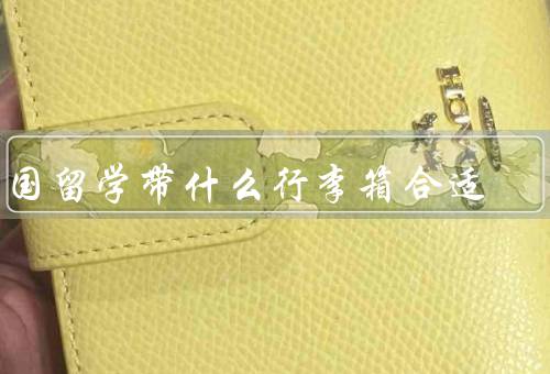 出国留学带什么行李箱合适，硬壳行李箱、可折叠行李箱、背包行李箱