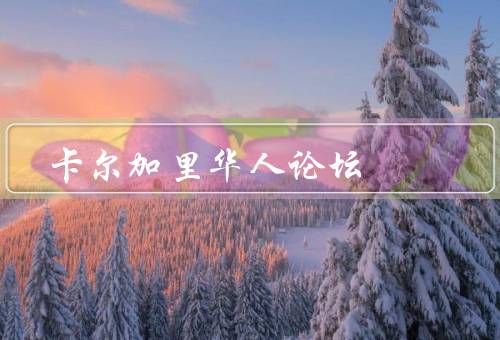 卡尔加里华人论坛，论坛特色、活动交流、资源共享