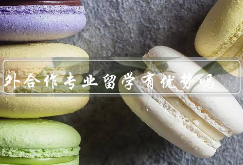 中外合作专业留学有优势吗（专业选择、学术交流、就业前景）