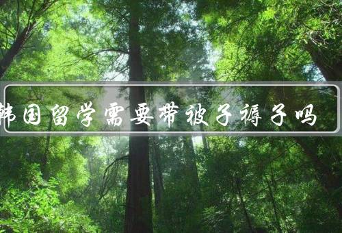 去韩国留学需要带被子褥子吗，韩国的住宿条件／个人偏好