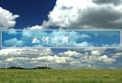 如何选择留学咨询（专业性、经验、口碑）