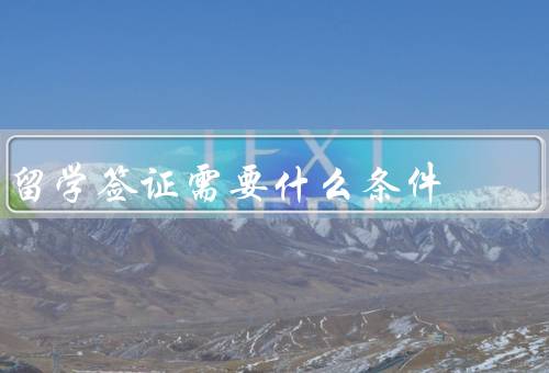 留学签证需要什么条件，申请学校录取通知书／提供足够的资金证明
